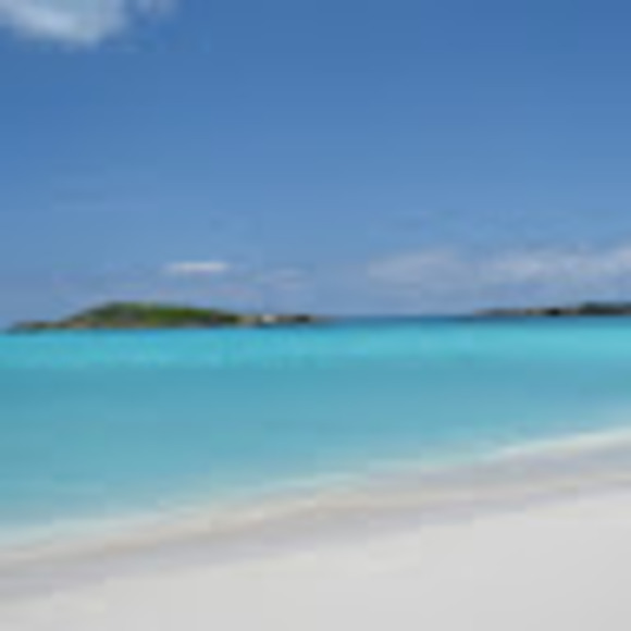 Meet your Posher, Michelle - Picture 1 of 1